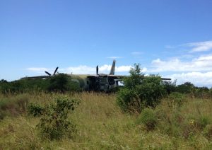 Old Plane in bushes 